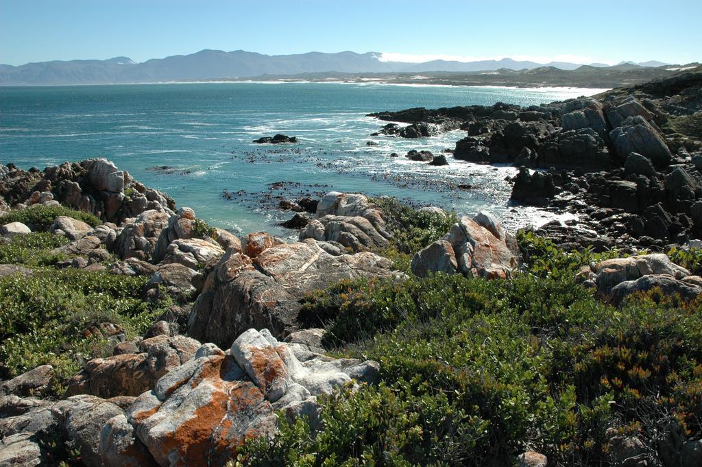 Cliff Lodge Gansbaai Kültér fotó