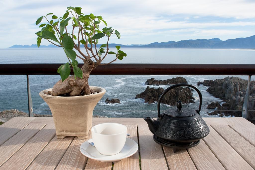 Cliff Lodge Gansbaai Kültér fotó